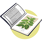 【ㄏㄡˋ菸葉時代—菸業概念展】